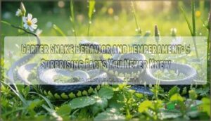 garter snake behavior and temperament