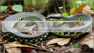 garter snake communication