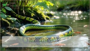 garter snakes