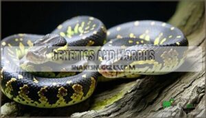 genetics and morphs