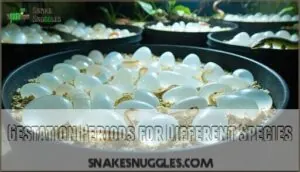 gestation periods for different species gestation periods for different species