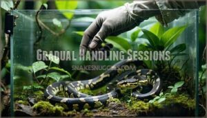 gradual handling sessions