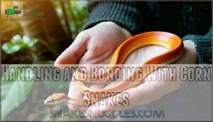handling and bonding with corn snakes handling and bonding with corn snakes