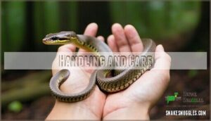handling and care