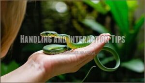 handling and interaction tips