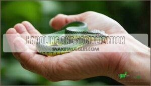 handling and socialization