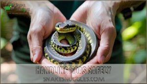 handling boas safely