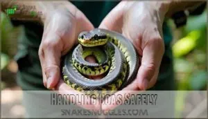 handling boas safely handling boas safely