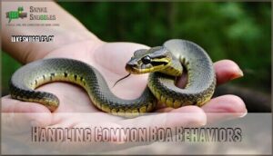 handling common boa behaviors