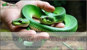 handling snakes after initial acclimation