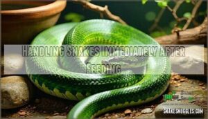 handling snakes immediately after feeding