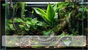 hardy and durable plants