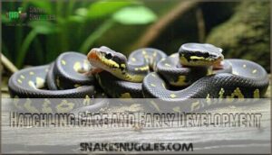hatchling care and early development
