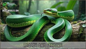 health and feeding