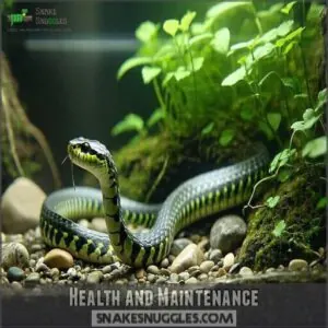 health and maintenance health and maintenance