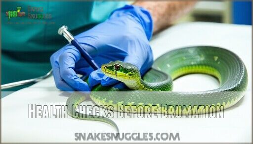 Snake Brumation Care Guide: 8 Essential Steps for Your Pet's Winter Sleep