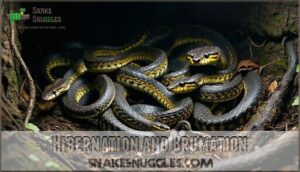 hibernation and brumation