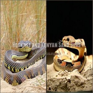 hognose and kenyan sand boas