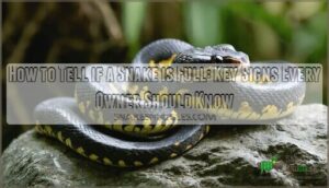 how to tell if a snake is full