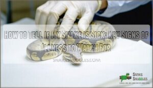 how to tell if my snake is sick