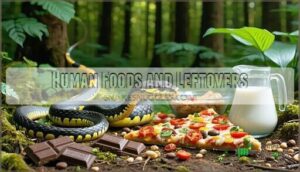 human foods and leftovers