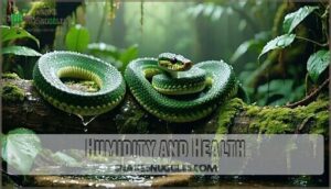 humidity and health
