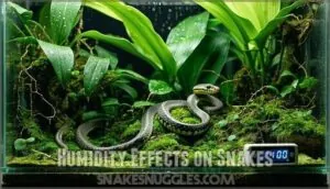 humidity effects on snakes humidity effects on snakes
