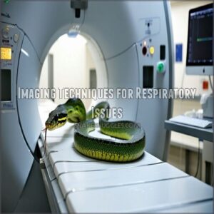imaging techniques for respiratory issues