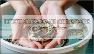 impacted snake signs and treatment