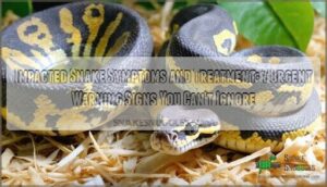 impacted snake symptoms and treatment