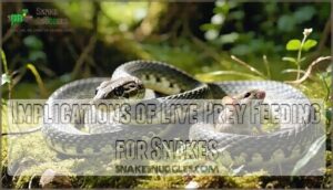implications of live prey feeding for snakes