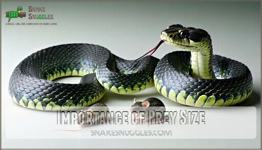 Optimal Snake Feeding Schedule: Tips for Healthy and Happy Snakes