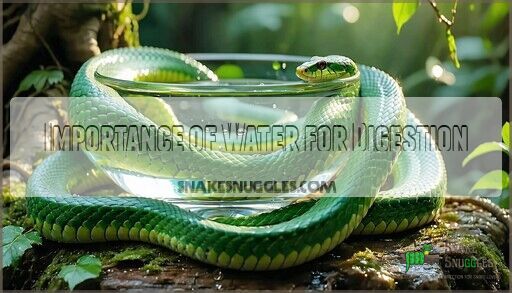 Snake Water Bowl Recommendations: Top Tips for Healthy & Hydrated Snakes