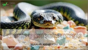 ingestion of indigestible materials