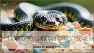 ingestion of indigestible materials ingestion of indigestible materials