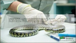 initial consultations and exams