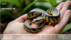 initial handling guidelines