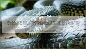 intestinal parasites and infections