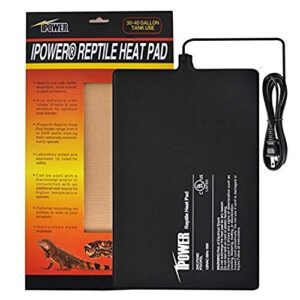 iPower 8 by 12 Inch Reptile B07X8WLYD8