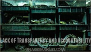 lack of transparency and accountability