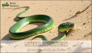 lateral undulation