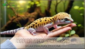 leopard gecko comparison