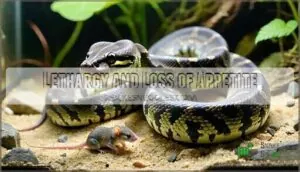 lethargy and loss of appetite lethargy and loss of appetite