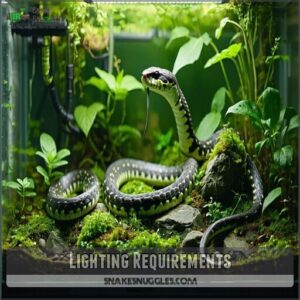 lighting requirements