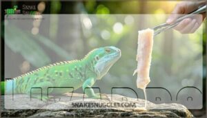 lizards