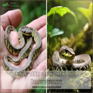 long-term commitment and responsibility