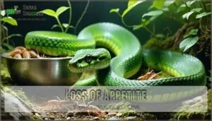 loss of appetite loss of appetite