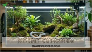 low maintenance species