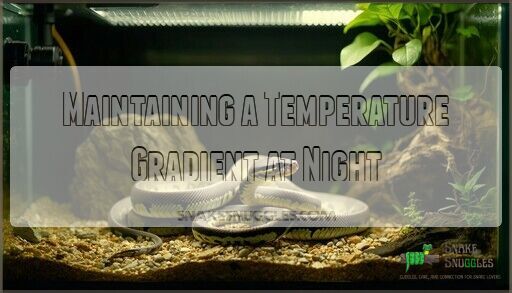 Snake Temperature Requirements: The Must-Read Guide for Healthy Reptiles