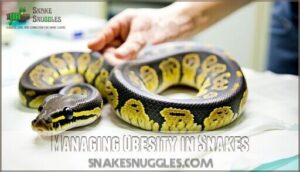 managing obesity in snakes